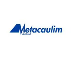 METACAULIM